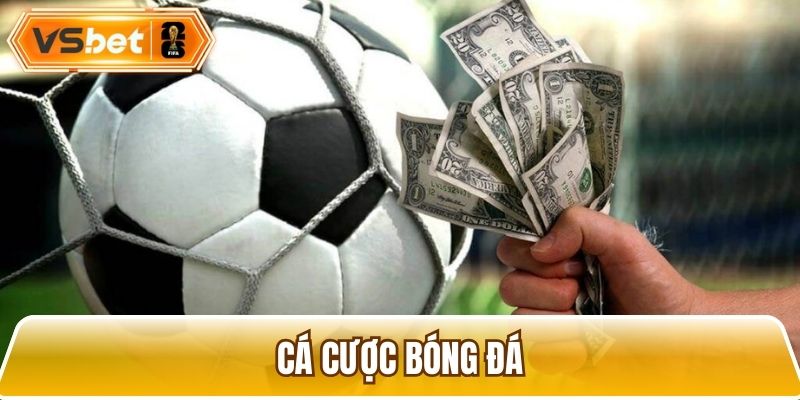 Cá cược bóng đá với nhiều giải đấu hấp dẫn hàng đầu thế giới